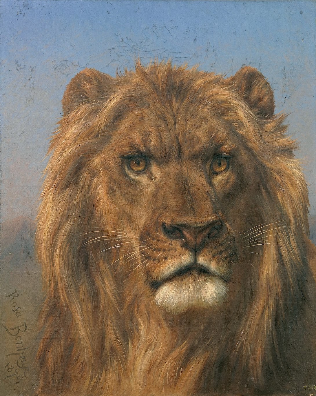 1200px-Rosa_Bonheur_-_Portrait_of_a_Lion_-_Prado.jpg