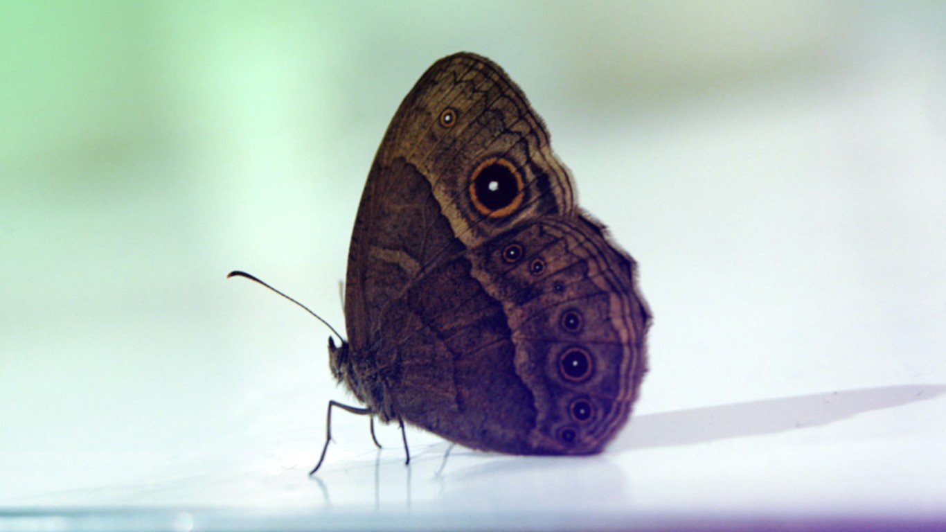 AboutNatureOk2.jpg