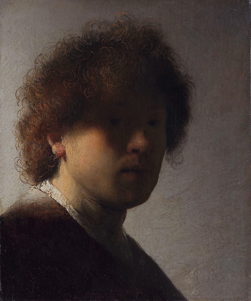 Self-portrait_1628-1629_by_Rembrandt.jpeg