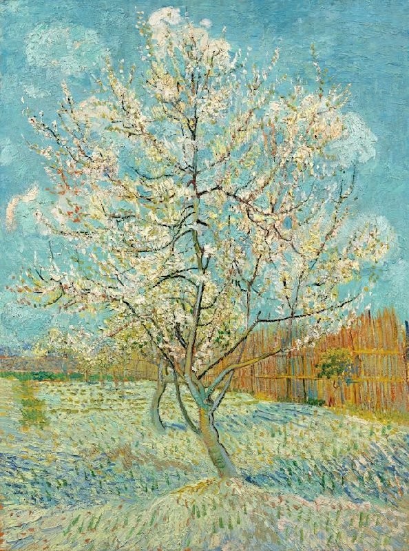 vangoghmuseum-s0025V1962-800.jpg