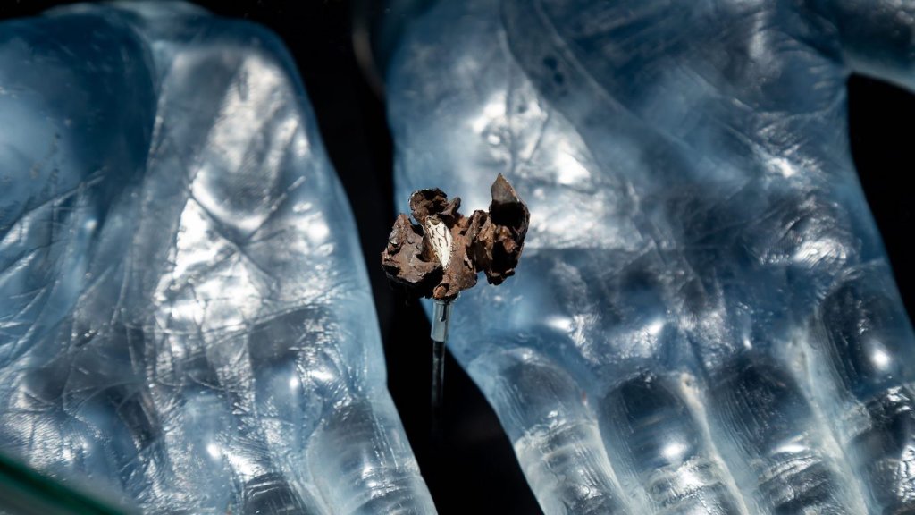 Faivovich & Goldberg: el acto de desenterrar el pasado