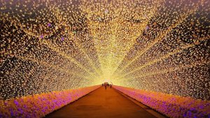 Nabana no Sato (Japón): el jardín de las flores lumínicas