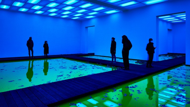 El arte ecosistémico de Olafur Eliasson
