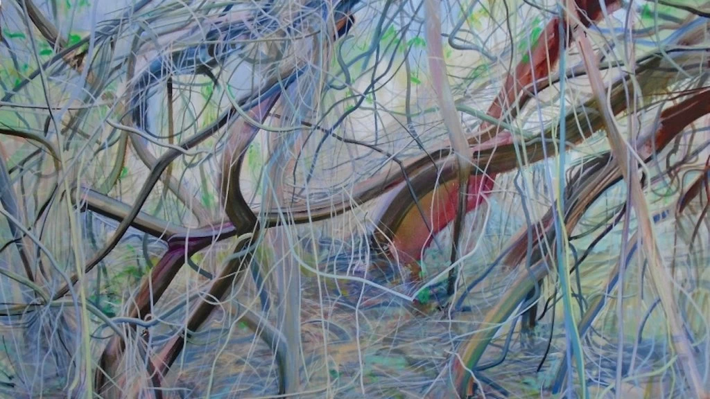 Adrián Paiva - El ojo del arte