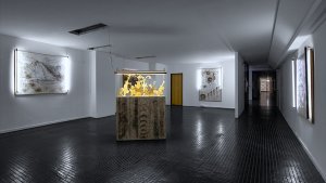 Espacio Hermes