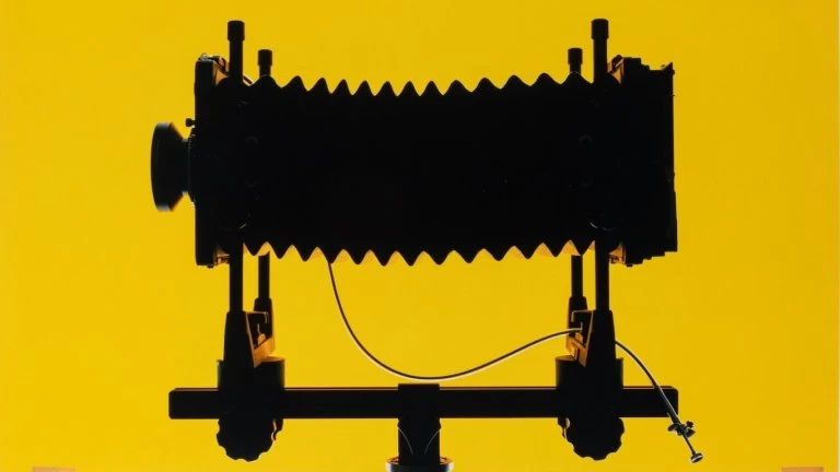 Sarah Charlesworth y la cámara como herramienta conceptual  