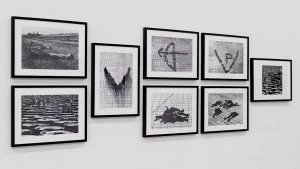 Colección Moderno: Transformaciones de masas en vivo, de Luis Pazos