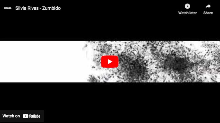 Silvia Rivas - Zumbido (dinámicas)