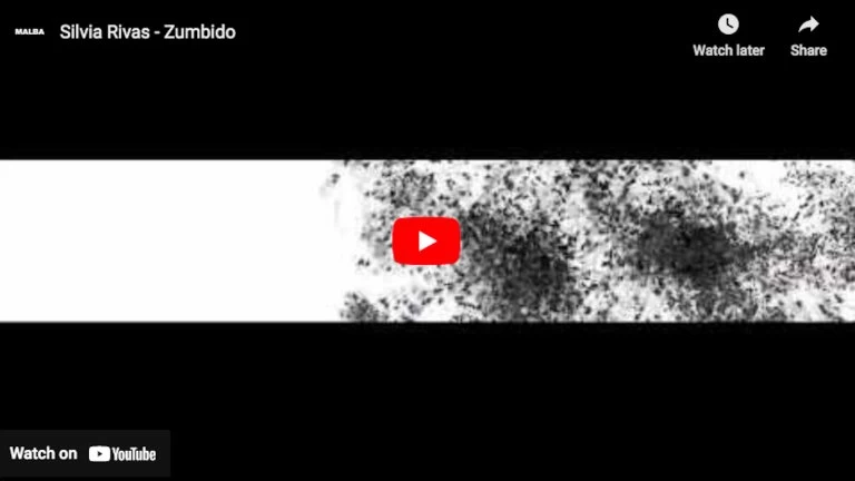 Silvia Rivas - Zumbido (dinámicas)