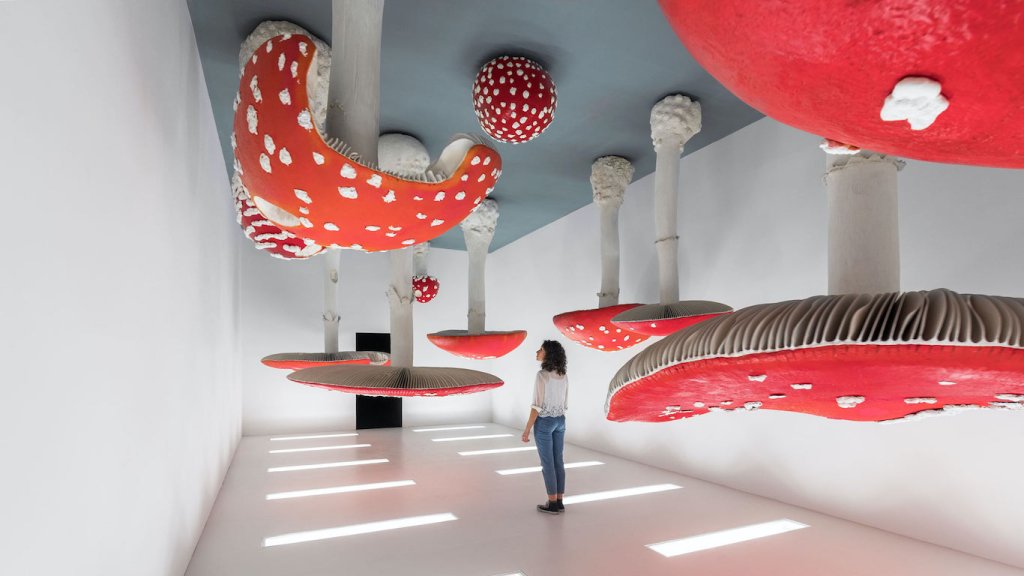 Carsten Höller: estados emocionales entre el placer y la locura