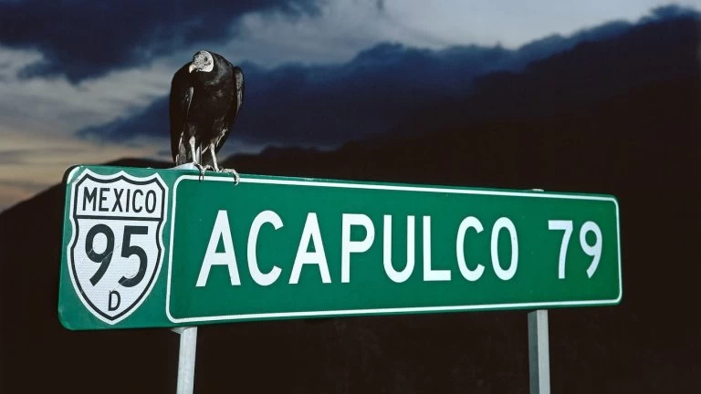 El arte del robo según Miguel Calderón