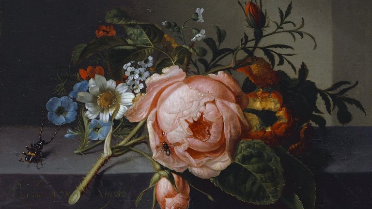 Rachel Ruysch: los maravillosos bodegones florales