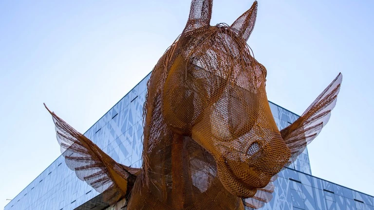 Pegaso, de Nadia Guthmann