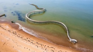 Serpent d&#039;Ocean (Francia): horror, naturaleza y fantasía