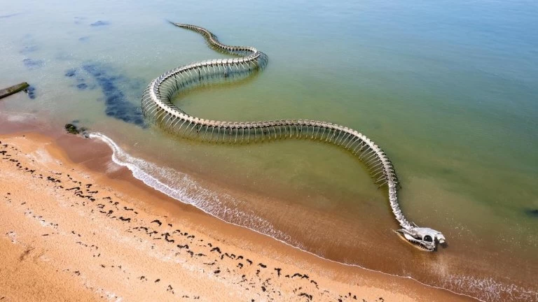 Serpent d&#039;Ocean (Francia): horror, naturaleza y fantasía